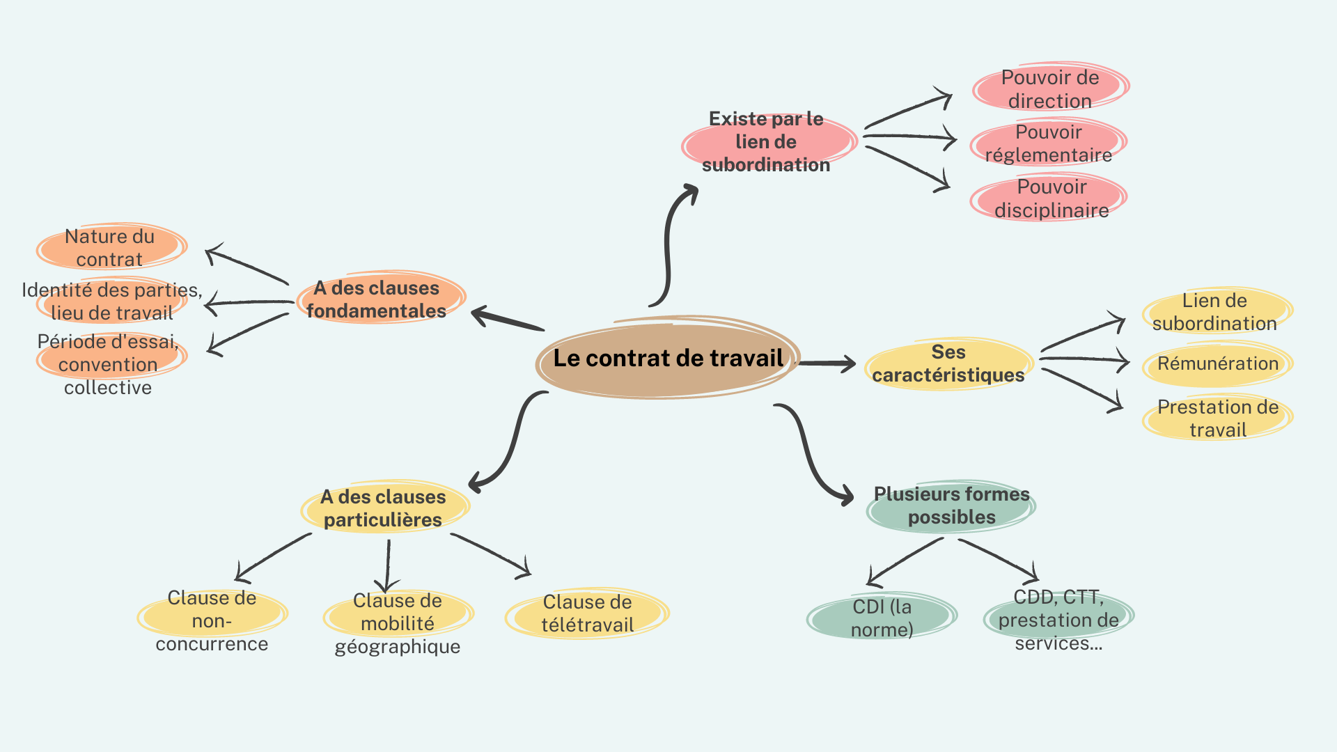Bac STMG : Cartes Mentales de Droit (Terminale) pour Mémoriser